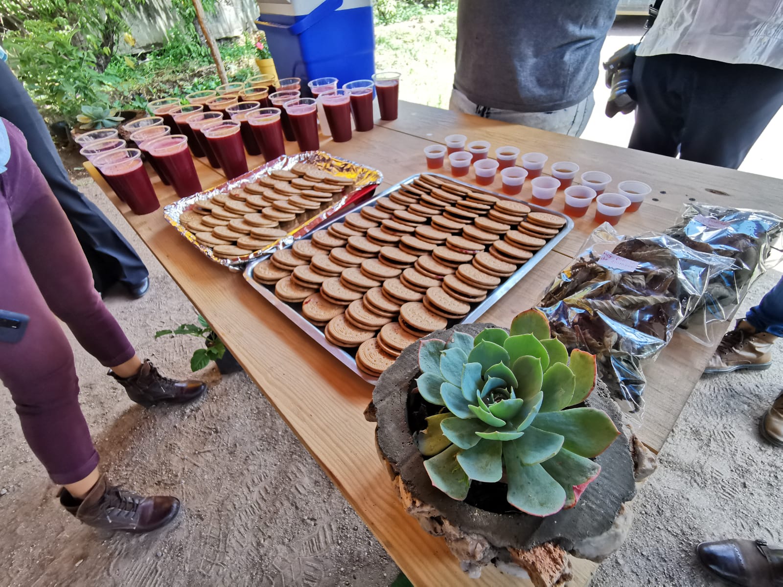 WhatsApp Image 2021 08 19 at 11.10.24 AM