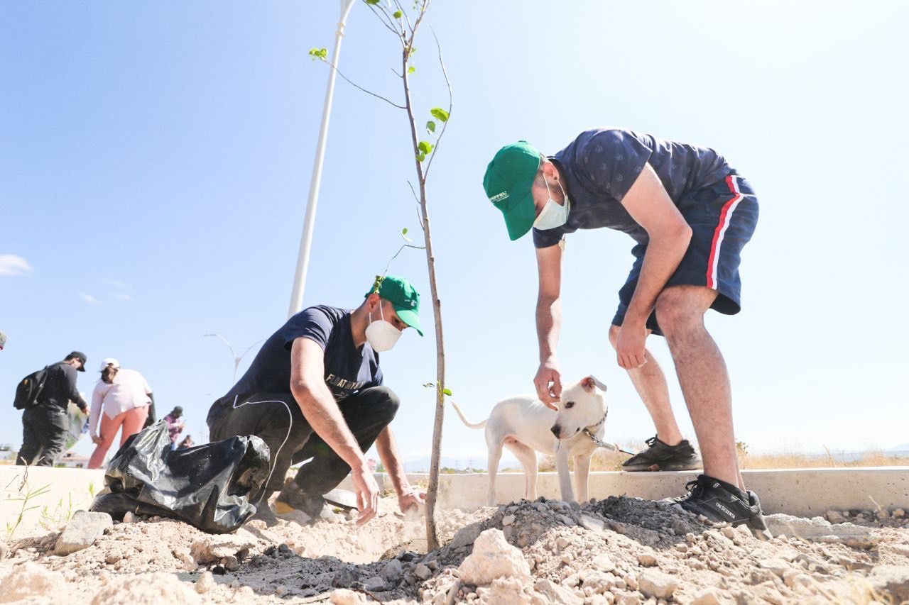 WhatsApp Image 2022 03 12 at 4.03.19 PM