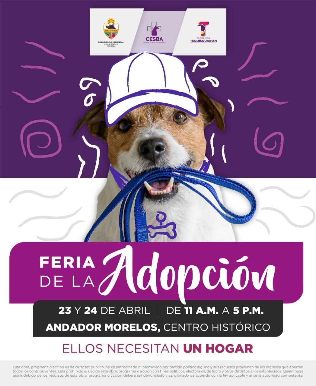 WhatsApp Image 2022 04 19 at 5.55.38 PM