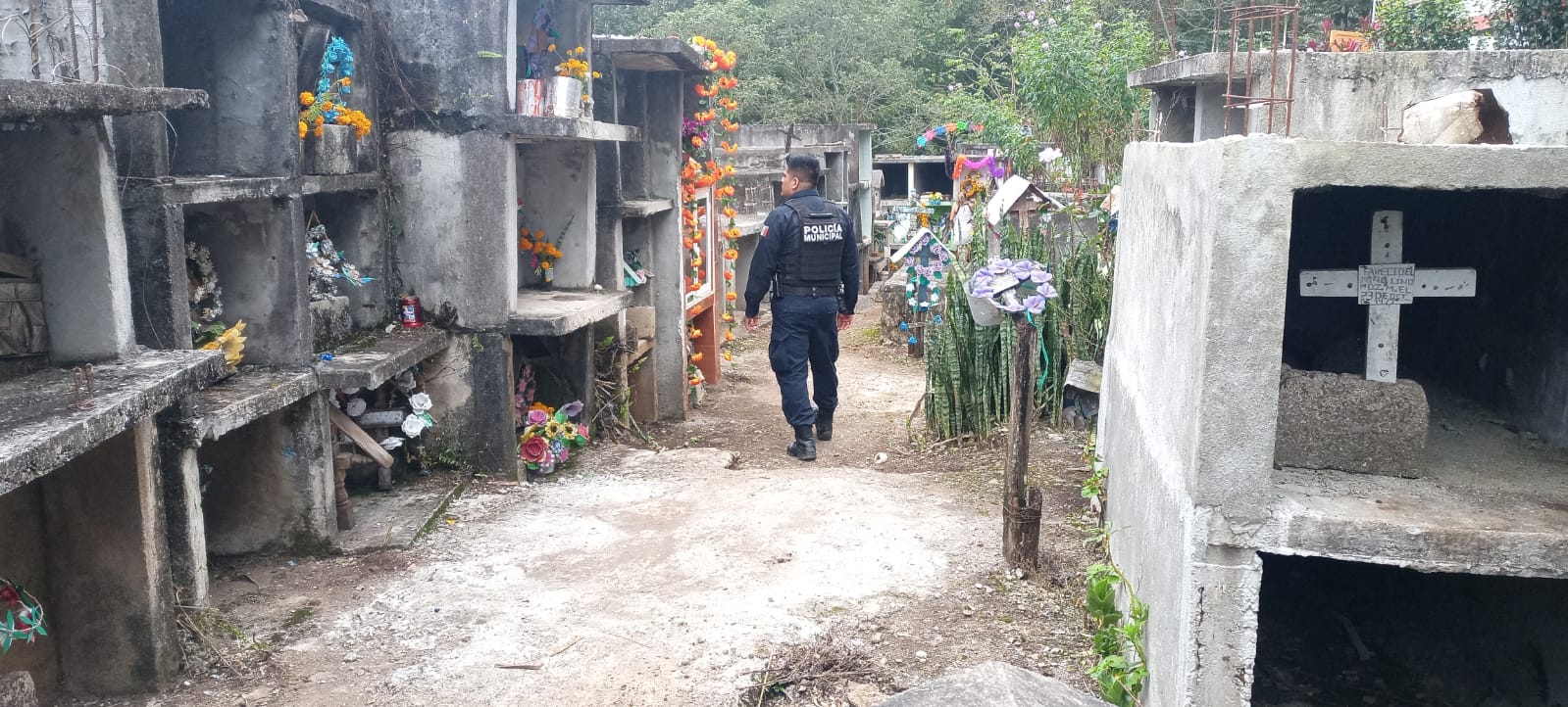 WhatsApp Image 2022 11 01 at 4.41.02 PM