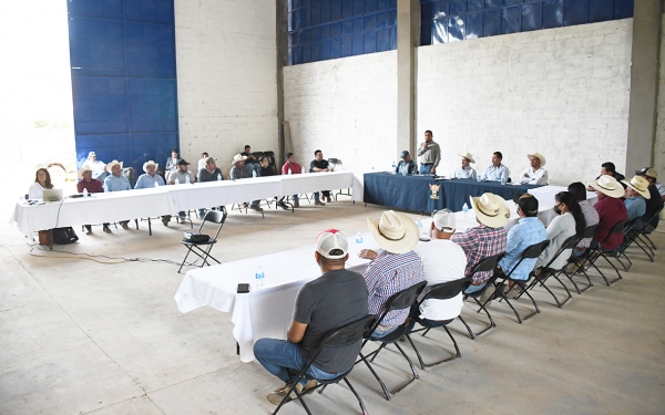 En Jalpan de Serra promoverán una venta justa del ganado para productores de la región